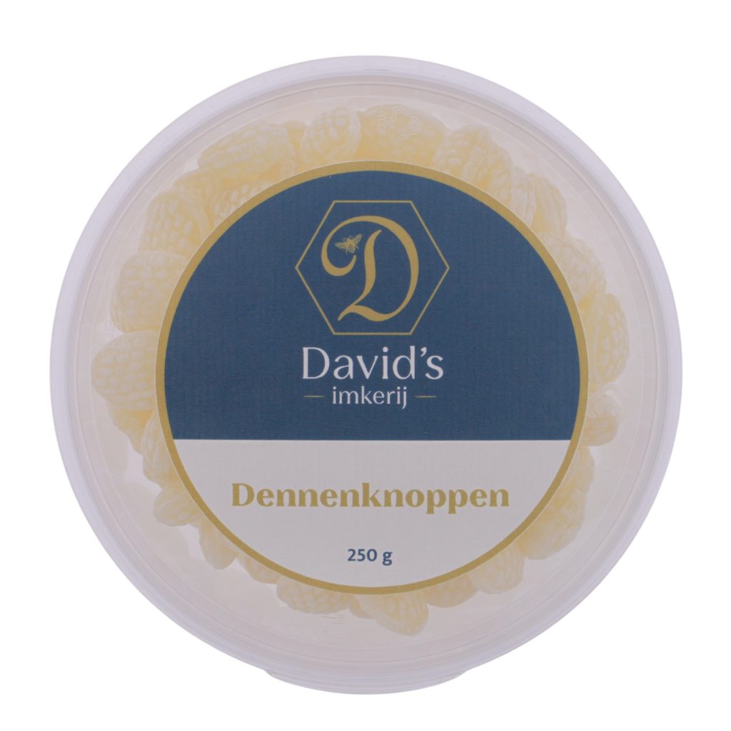 Dennenknoppen - Afbeelding 4